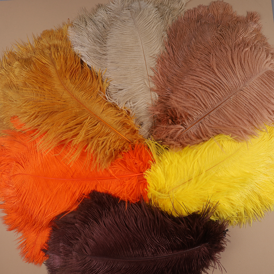 10pcs Ostrich Feathers for Cra - Feather Trim Marabou บทวิจารณ์และราคา
