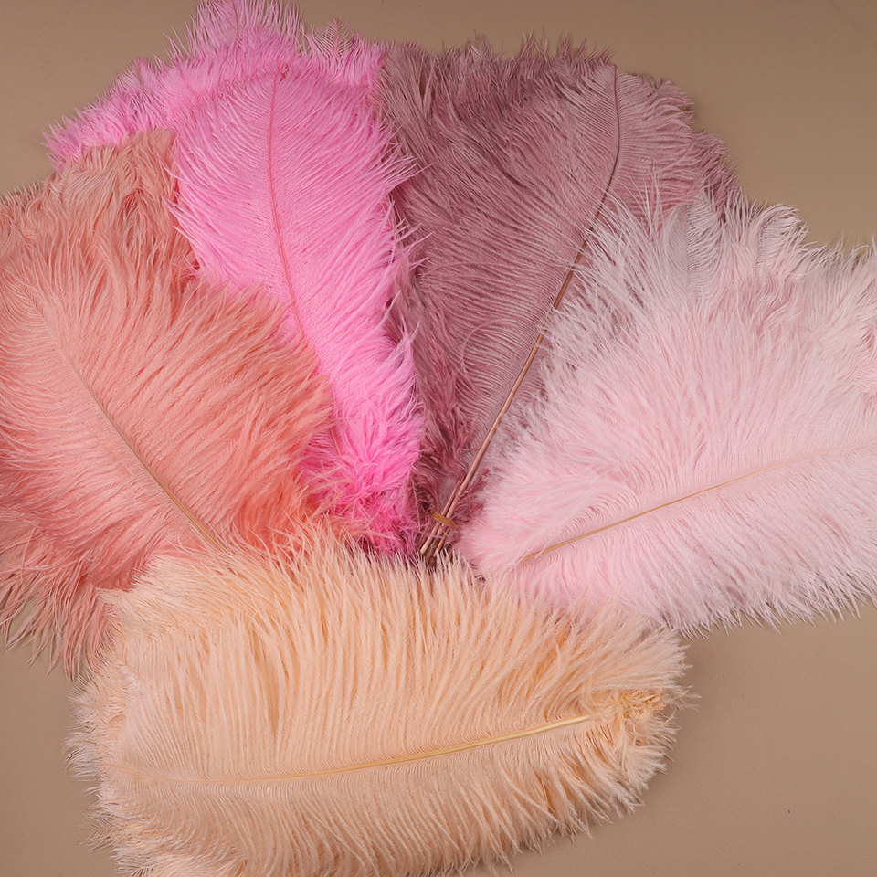 10pcs Ostrich Feathers for Cra - Feather Trim Marabou บทวิจารณ์และราคา