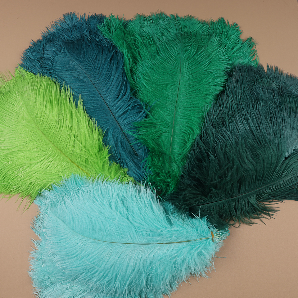 10pcs Ostrich Feathers for Cra - Feather Trim Marabou บทวิจารณ์และราคา