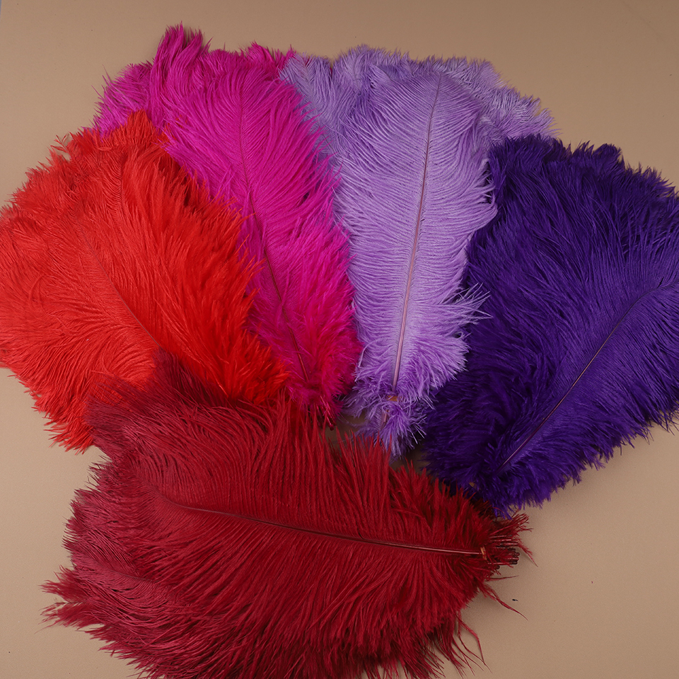 10pcs Ostrich Feathers for Cra - Feather Trim Marabou บทวิจารณ์และราคา
