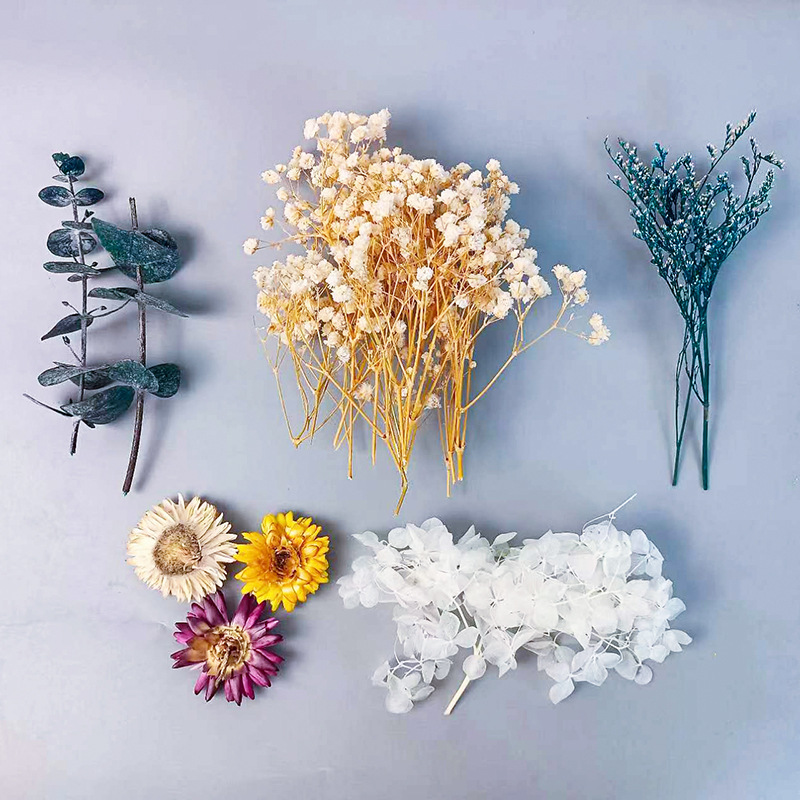 1pack Multifarious Dried Flowe - Embellish Craft บทวิจารณ์และราคา