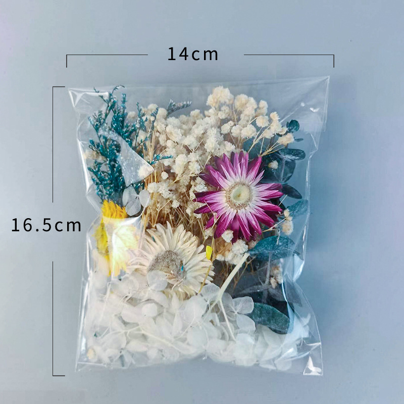 1pack Multifarious Dried Flowe - Embellish Craft บทวิจารณ์และราคา