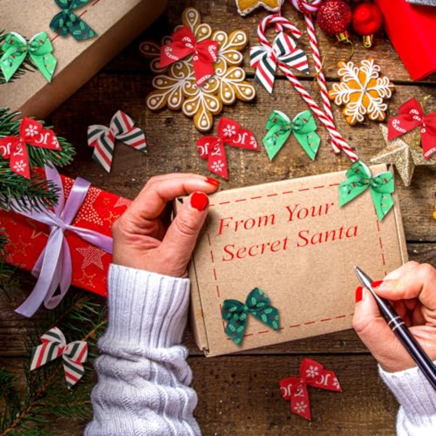 150 Pcs Summer Christmas Mini  - Christmas Craft Embellishment บทวิจารณ์และราคา